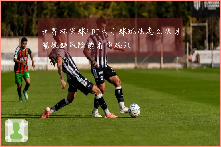 世界杯买球app大小球玩法怎么买才能规避风险能看懂规则
